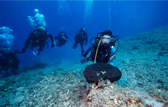 Scuba diving